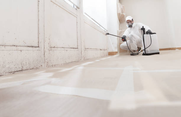 24/7 Emergency Crawl Space Mold Remediation experts in Atlanta, GA